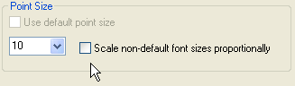 FontSizeDlgScaleOption