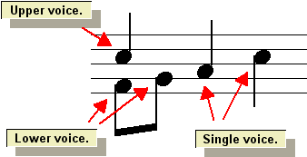 VoicesExplained