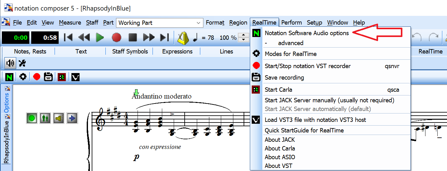 RealTime-FirstUse-AudioOptions